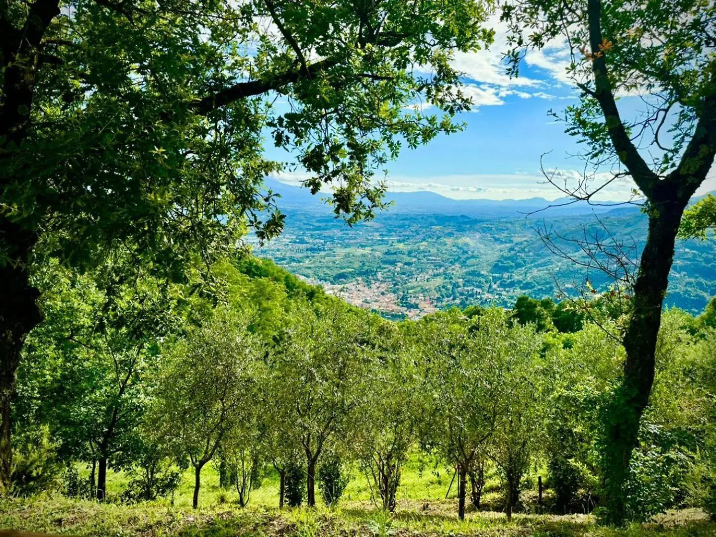 Villa Nel Verde | Civico 2 Uzzano